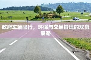 政府车辆限行，环保与交通管理的双赢策略