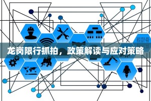 龙岗限行抓拍，政策解读与应对策略