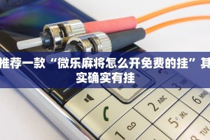 推荐一款“微乐麻将怎么开免费的挂”其实确实有挂