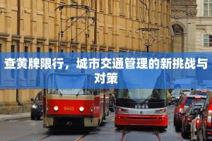 查黄牌限行，城市交通管理的新挑战与对策