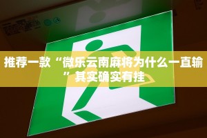 永新319限行政策解析，背景、影响与市民应对策略