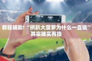 教程辅助!“拱趴大菠萝为什么一直输”其实确实有挂