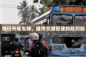 限行外省车牌，城市交通管理的双刃剑