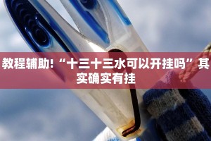 教程辅助!“十三十三水可以开挂吗”其实确实有挂