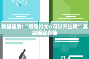 教程辅助!“哥哥打大A可以开挂吗”其实确实有挂