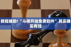 教程辅助!“斗棋开挂免费软件”其实确实有挂