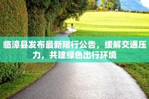 临漳县发布最新限行公告，缓解交通压力，共建绿色出行环境