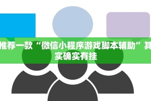 推荐一款“微信小程序游戏脚本辅助”其实确实有挂
