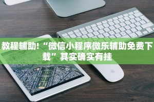 教程辅助!“微信小程序微乐辅助免费下载”其实确实有挂