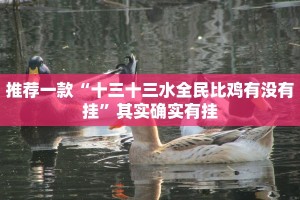 推荐一款“十三十三水全民比鸡有没有挂”其实确实有挂