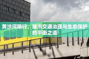 黄沙河限行，城市交通治理与生态保护的平衡之道