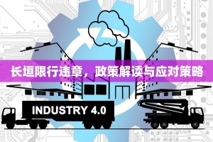 长垣限行违章，政策解读与应对策略