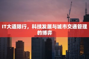 IT大道限行，科技发展与城市交通管理的博弈