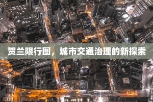 贺兰限行图，城市交通治理的新探索