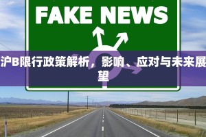 沪B限行政策解析，影响、应对与未来展望