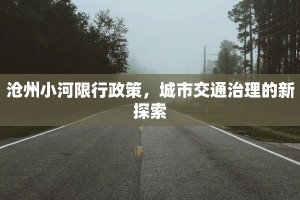 沧州小河限行政策，城市交通治理的新探索
