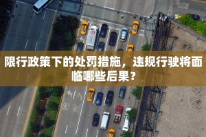 限行政策下的处罚措施，违规行驶将面临哪些后果？