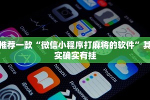推荐一款“微信小程序打麻将的软件”其实确实有挂