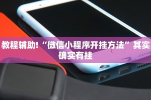 教程辅助!“微信小程序开挂方法”其实确实有挂