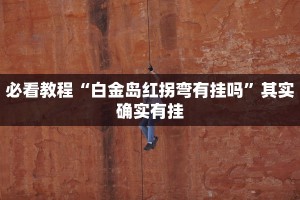 必看教程“新道游开挂辅助软件”其实确实有挂