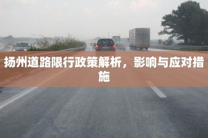 扬州道路限行政策解析，影响与应对措施
