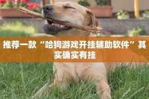推荐一款“哈狗游戏开挂辅助软件”其实确实有挂
