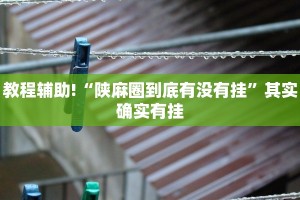 教程辅助!“陕麻圈到底有没有挂”其实确实有挂