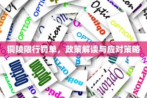铜陵限行罚单，政策解读与应对策略