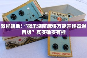 教程辅助!“微乐湖南麻将万能开挂器通用版”其实确实有挂