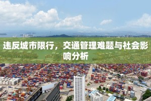 违反城市限行，交通管理难题与社会影响分析