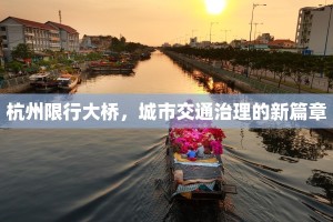 杭州限行大桥，城市交通治理的新篇章