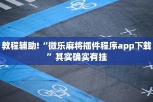 教程辅助!“微乐麻将插件程序app下载”其实确实有挂