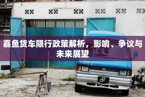 嘉鱼货车限行政策解析，影响、争议与未来展望