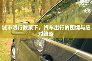 城市限行政策下，汽车出行的困境与应对策略