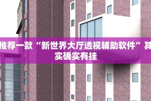 推荐一款“新世界大厅透视辅助软件”其实确实有挂
