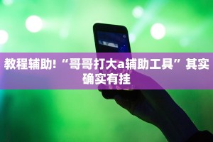 教程辅助!“哥哥打大a辅助工具”其实确实有挂