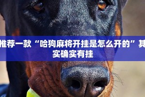 推荐一款“哈狗麻将开挂是怎么开的”其实确实有挂