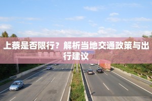 上蔡是否限行？解析当地交通政策与出行建议