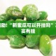 推荐一款“乐酷副厅牛牛透视挂”其实确实有挂