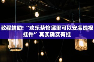 教程辅助!“欢乐茶馆哪里可以安装透视挂件”其实确实有挂