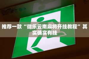 必看教程“微乐自建房一直输”其实确实有挂