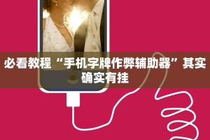 教程辅助!“如何在微乐麻将打赢”其实确实有挂