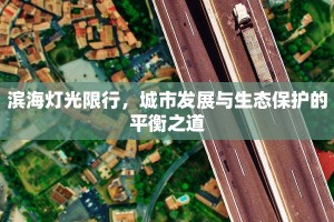 滨海灯光限行，城市发展与生态保护的平衡之道