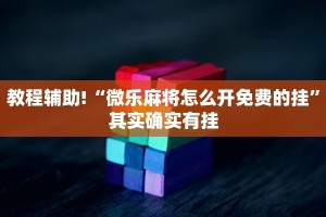 教程辅助!“微乐麻将怎么开免费的挂”其实确实有挂