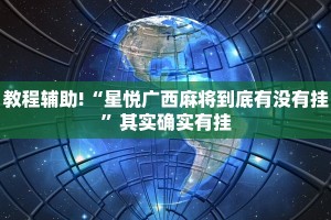 教程辅助!“新海贝之城透视开挂”其实确实有挂