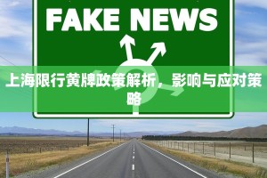 上海限行黄牌政策解析，影响与应对策略