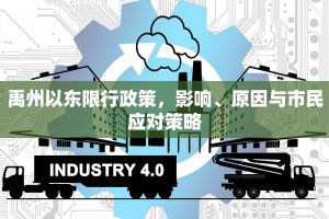 禹州以东限行政策，影响、原因与市民应对策略