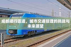 成都限行匝道，城市交通管理的挑战与未来展望