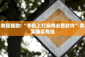 教程辅助!“手机上打麻将必胜软件”其实确实有挂