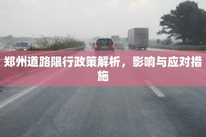 郑州道路限行政策解析，影响与应对措施